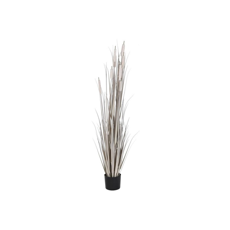 Decorative Plant DKD Home Decor...