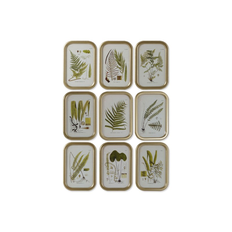 Cadre DKD Home Decor Moderne Plantes...