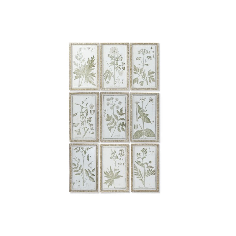 Cadre DKD Home Decor Cottage Plantes...