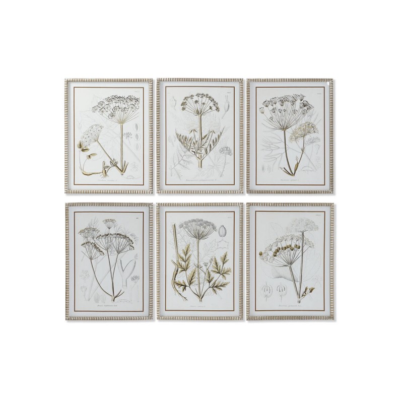 Cadre DKD Home Decor Moderne Plantes...