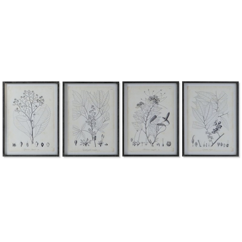 Quadro DKD Home Decor Moderno Piante...