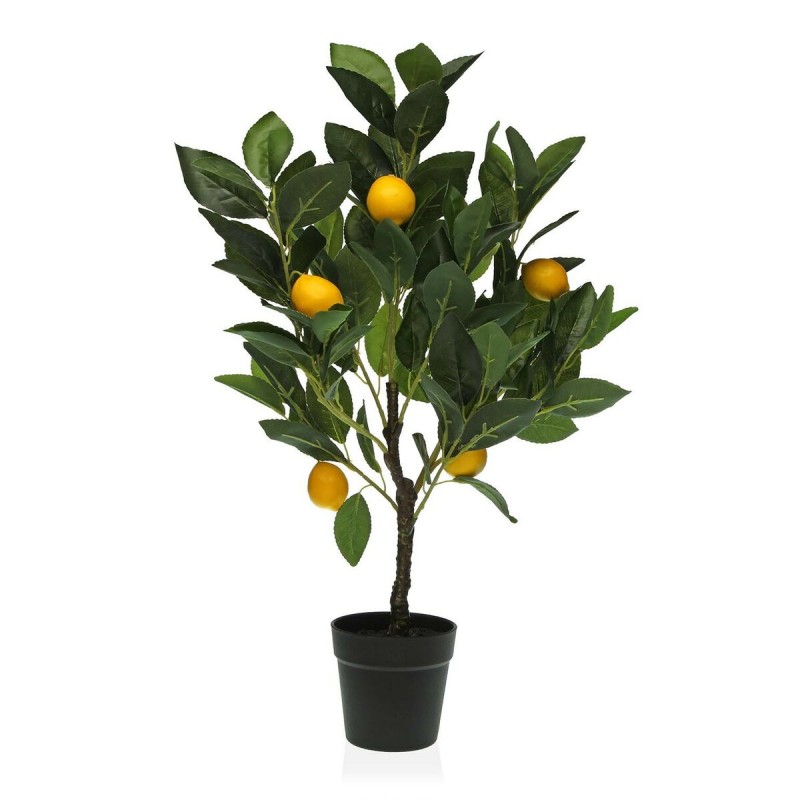 Decoratieve plant Versa 15 x 65 x 15...