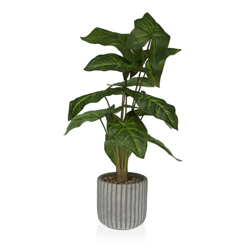 Decoratieve plant Versa 15 x 53 x 15...