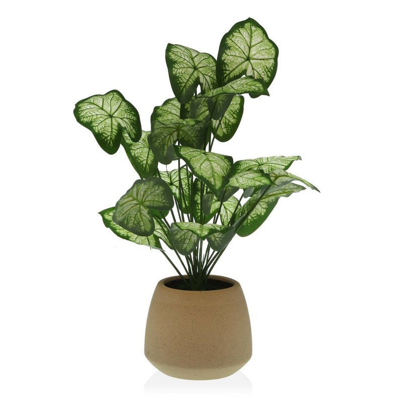 Decoratieve plant Versa 15 x 52 x 15...