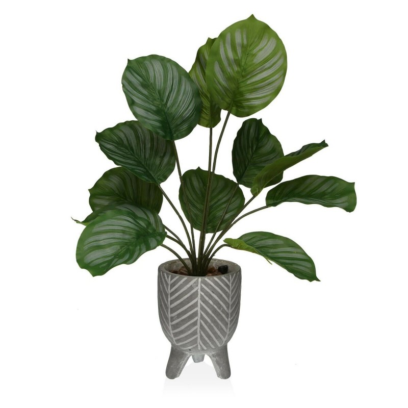 Decorative Plant Versa Cement Plastic...