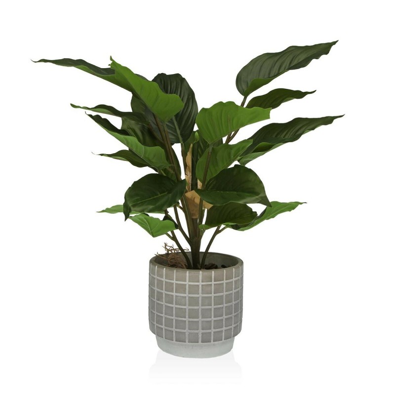 Decorative Plant Versa Cement Plastic...