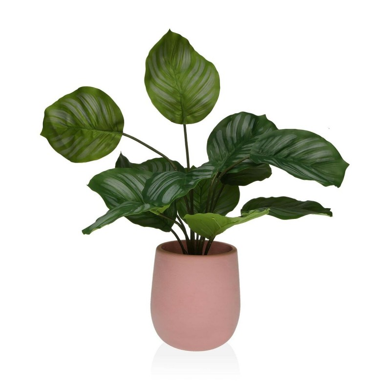 Decoratieve plant Versa 15 x 44 x 15...