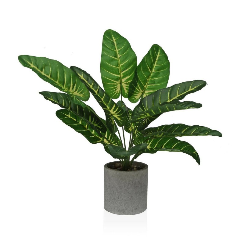 Decoratieve plant Versa 15 x 43 x 15...