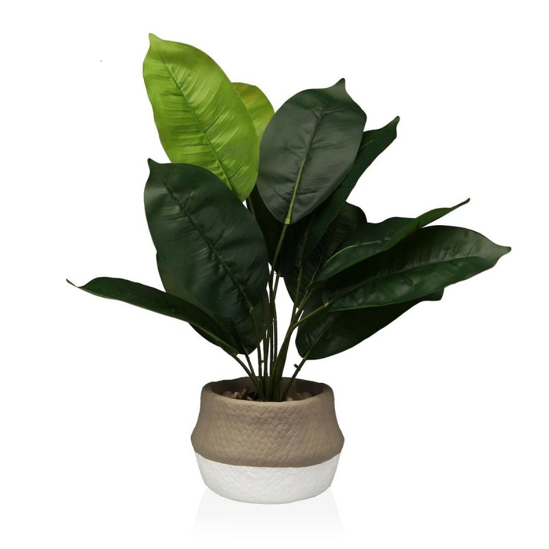 Decoratieve plant Versa 15 x 43 x 15...