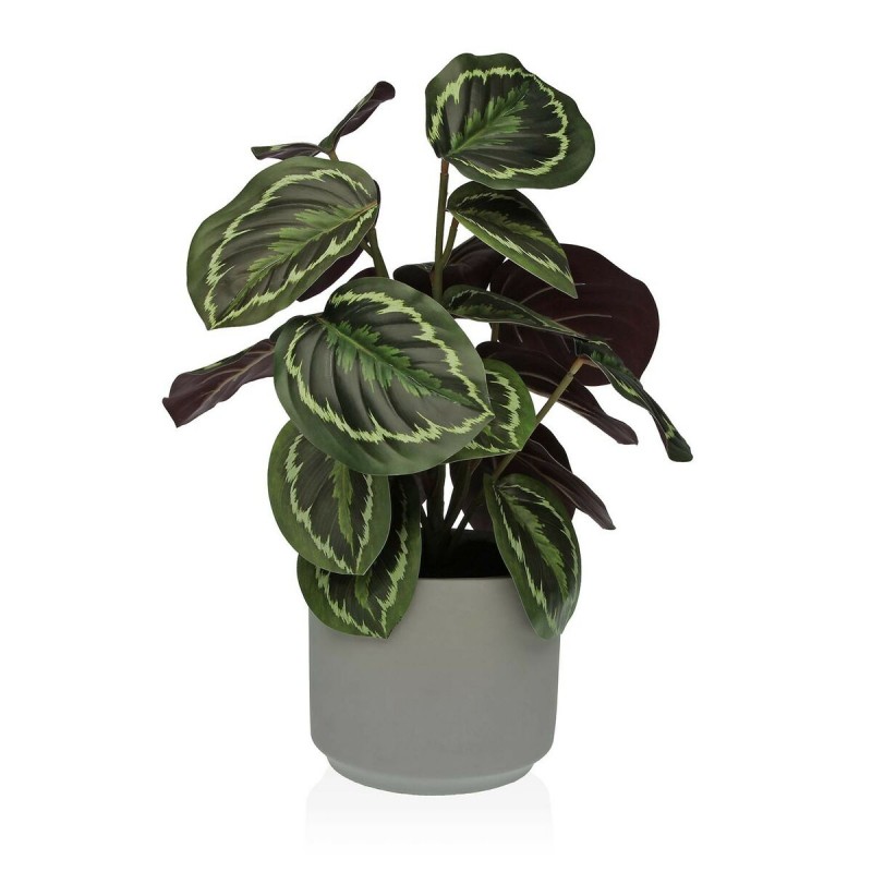 Planta Decorativa Versa 15 x 40,5 x...