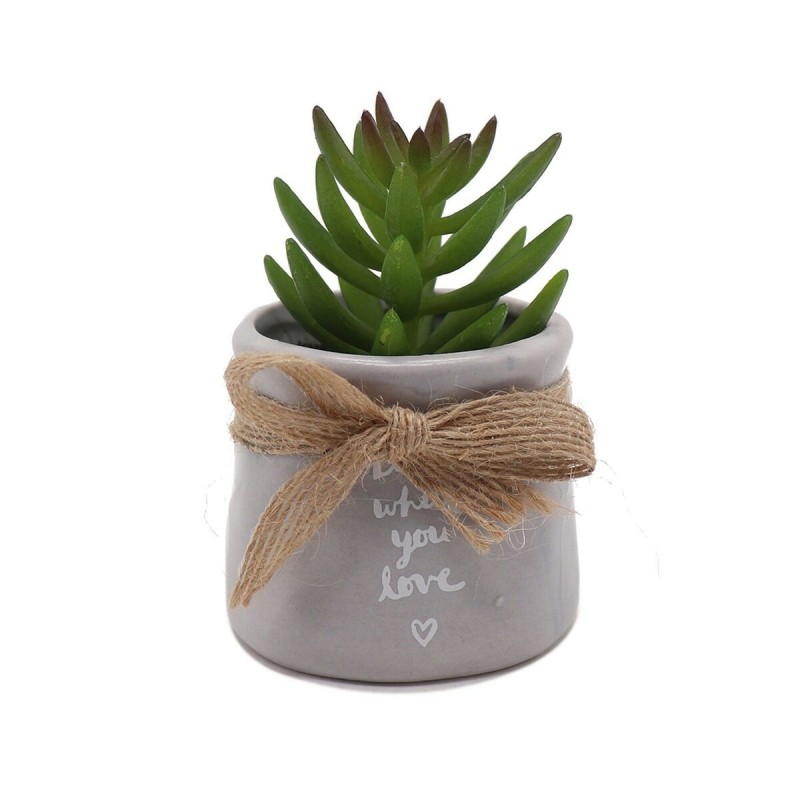 Decoratieve plant Versa Keramisch...