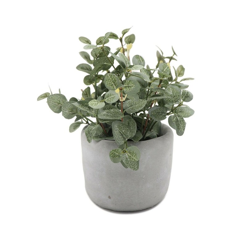 Decorative Plant Versa Plastic Cement...