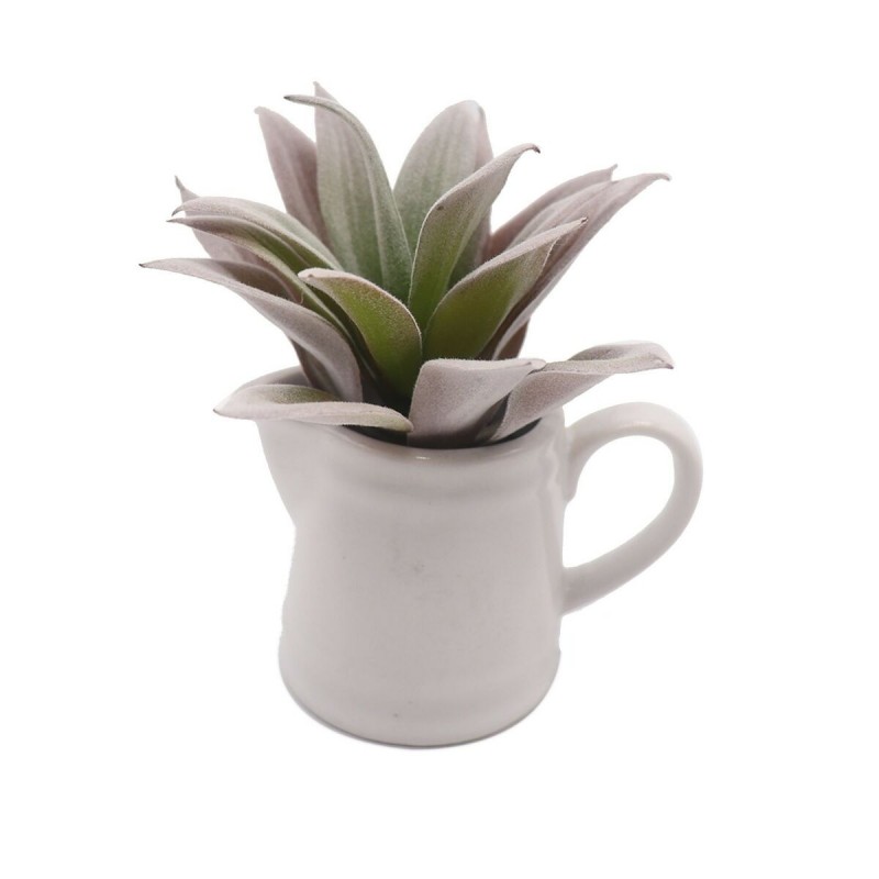 Decoratieve plant Versa Keramisch...