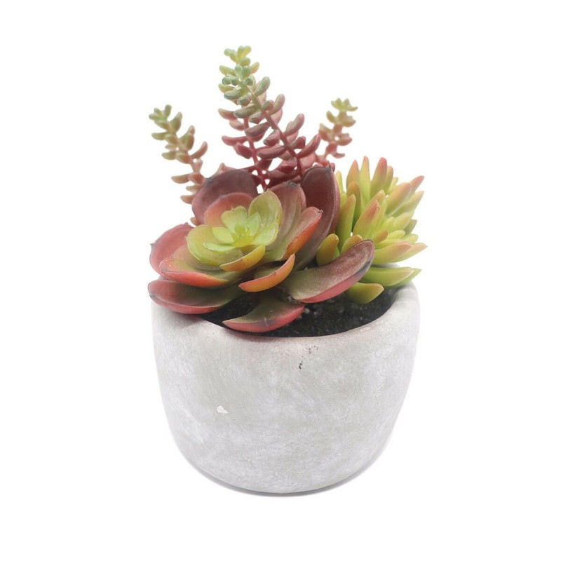 Decoratieve plant Versa Keramisch...