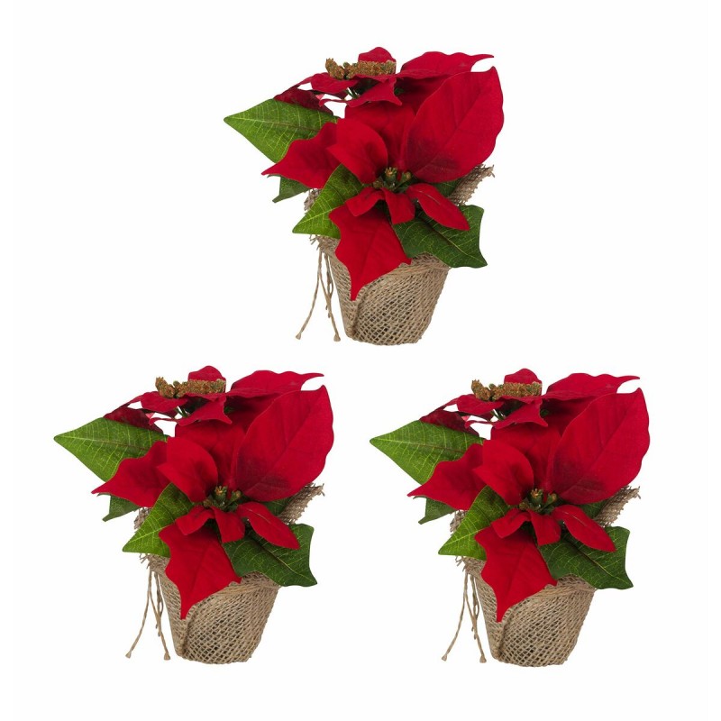 Decoratieve Bloemen Kerstmis...