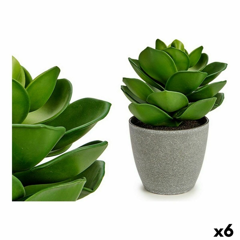 Decoratieve plant Grijs Groen (16 x...