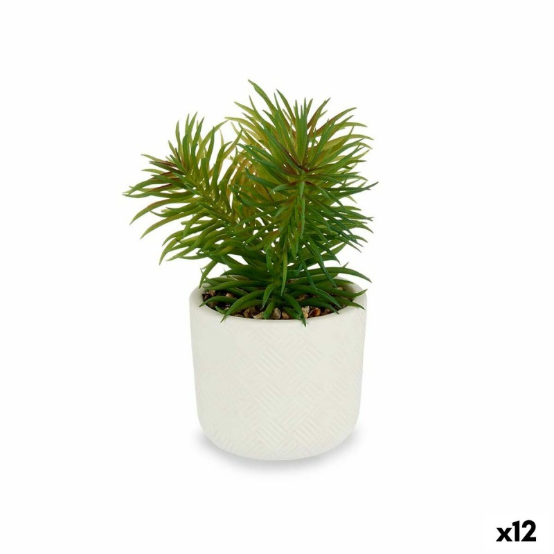 Decoratieve plant Wit Groen (14 x 20...