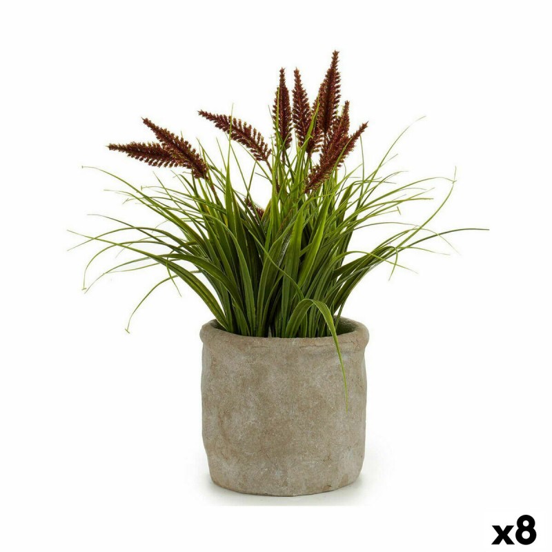 Plante décorative Epis Plastique 12 x...