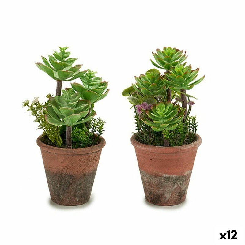 Decorative Plant Succulent Plastic 16...