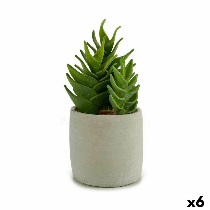 Decoratieve plant Vetplant Plastic 12...