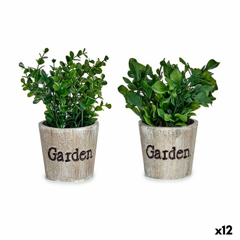 Decoratieve plant Plastic 16 x 22 x...