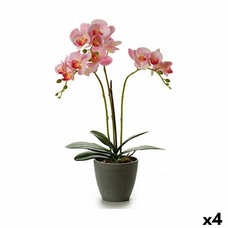 Decoratieve plant Orchidee 19 x 48 x...