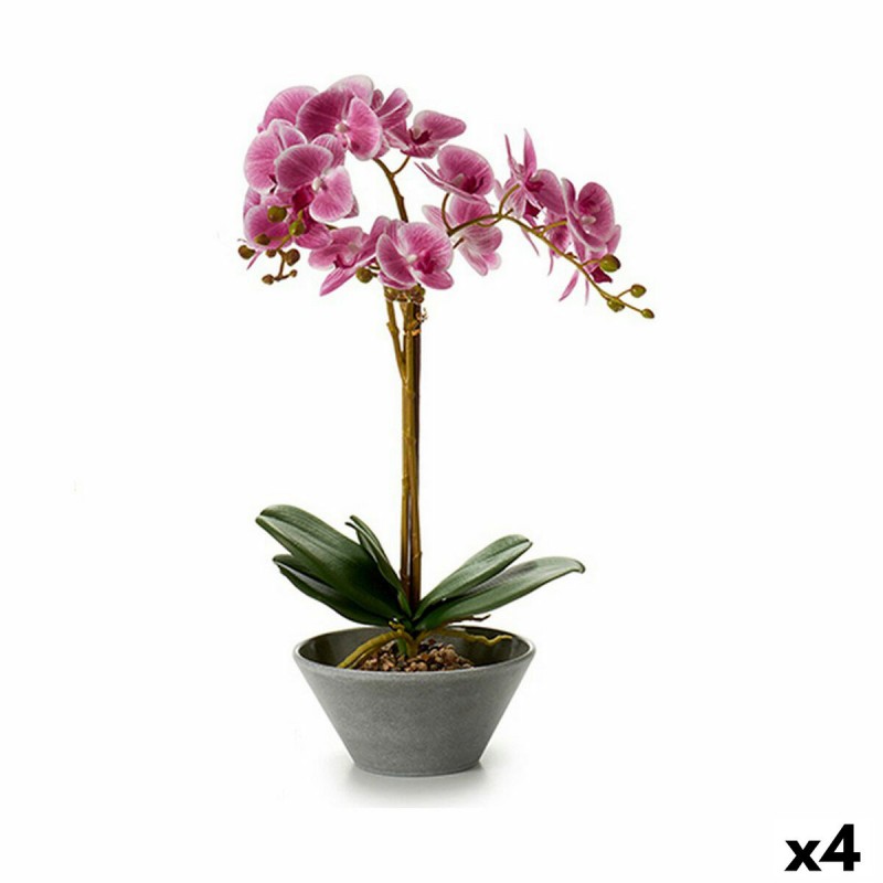 Plante décorative Orchidée 16 x 48 x...