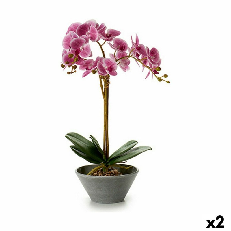 Decoratieve plant Orchidee 20 x 60 x...