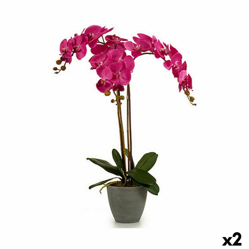 Decoratieve plant Orchidee Plastic 60...