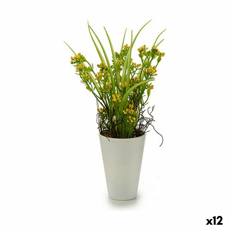 Decoratieve plant Bloem Plastic 12 x...