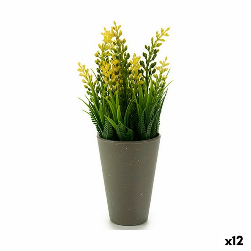 Decoratieve plant Bloem Plastic 12 x...