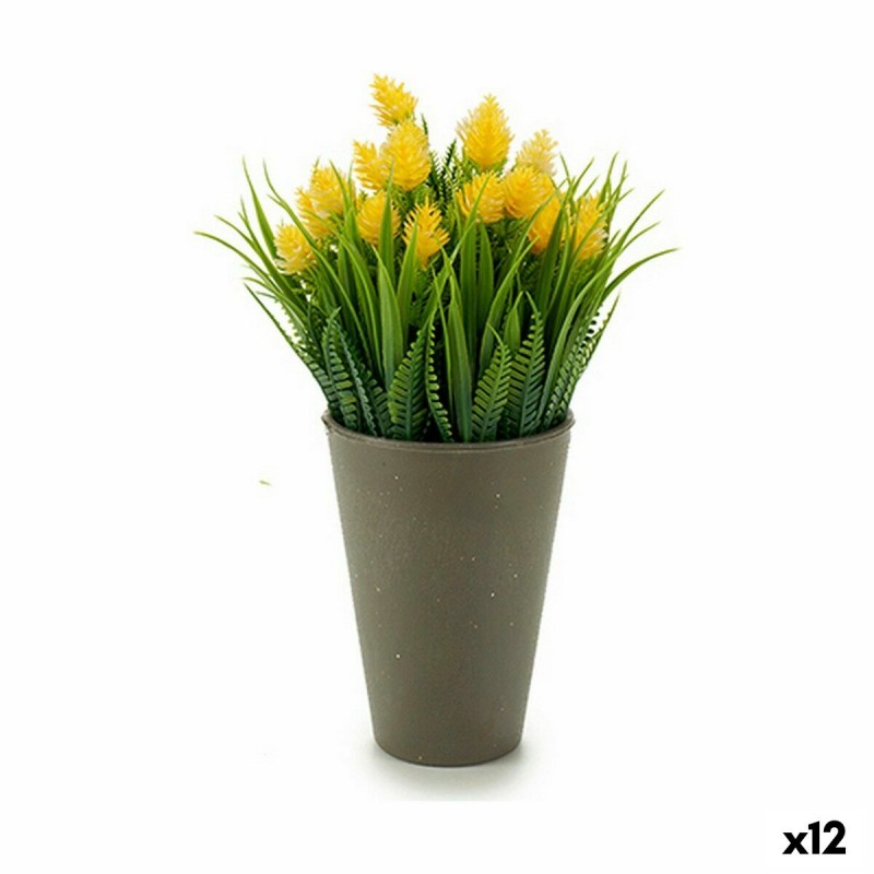 Plante décorative Epis Plastique 10 x...