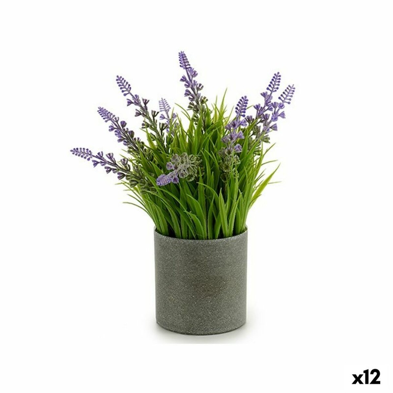 Decorative Plant Lavendar Cement...