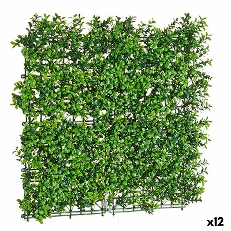 Kit per Giardino Verticale 50 x 5 x...