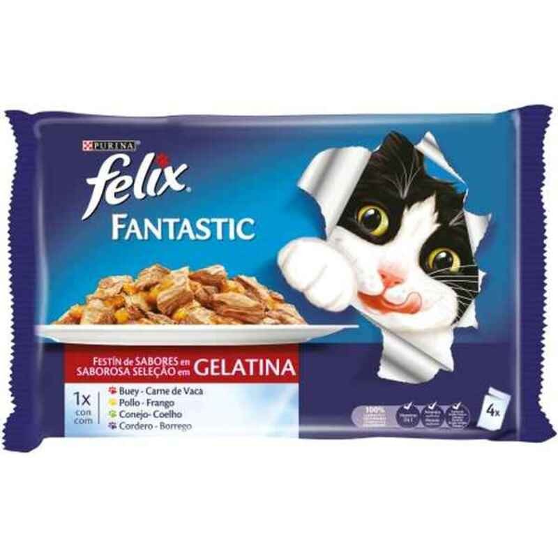 Cat food Purina