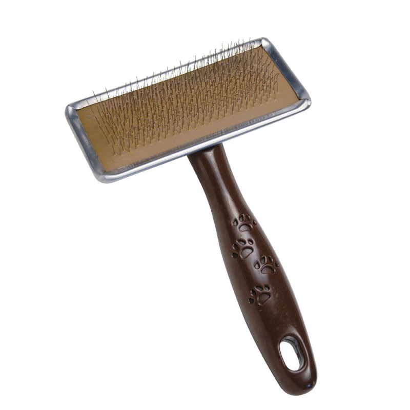 Brosse Gloria Plastique