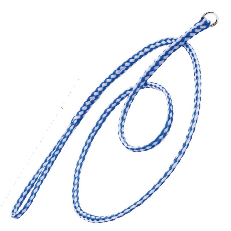 Dog Lead KVP 120 cm Blue/White