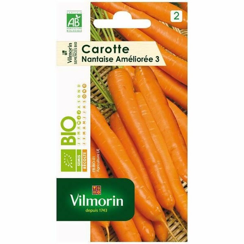 Semi Vilmorin Carota