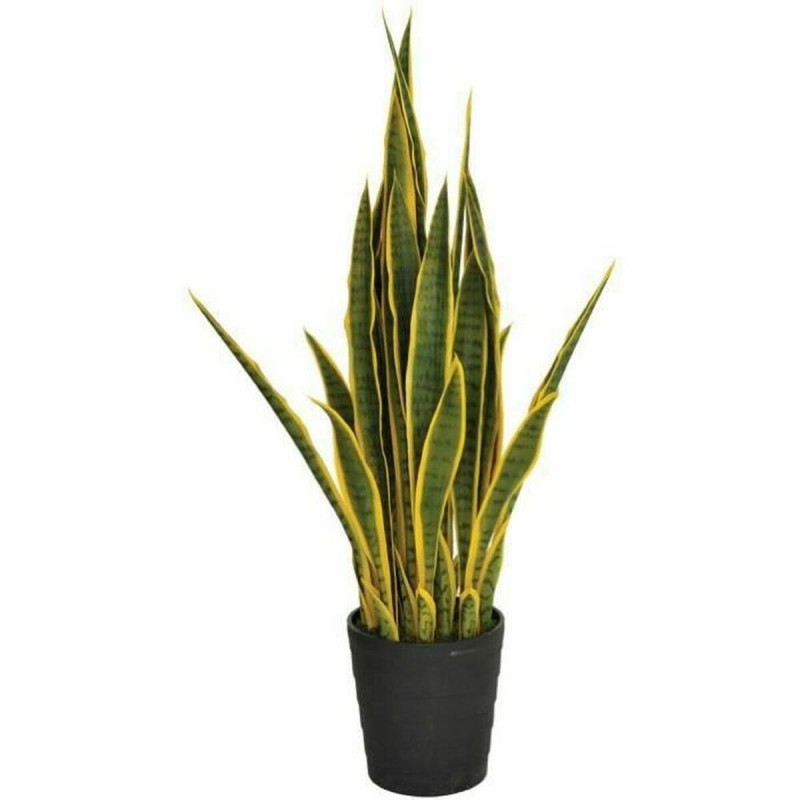 Decorative Plant Catral 74010009 105 cm