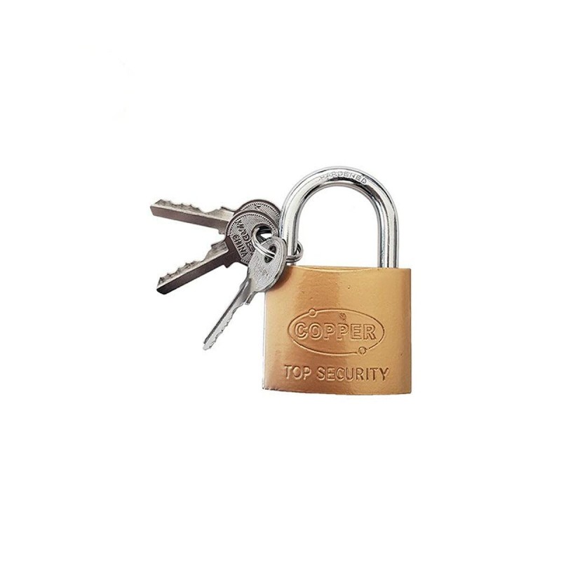 Key padlock EDM Basic Line Brass 30 mm