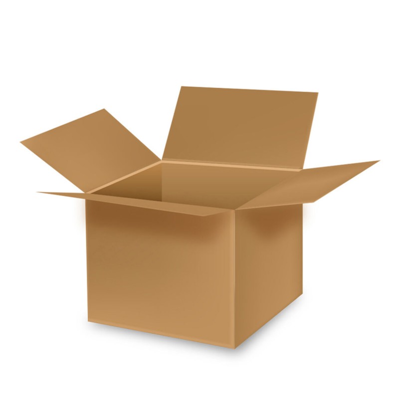 Caisse Carton (49,5 x 30,5 x 31 cm)