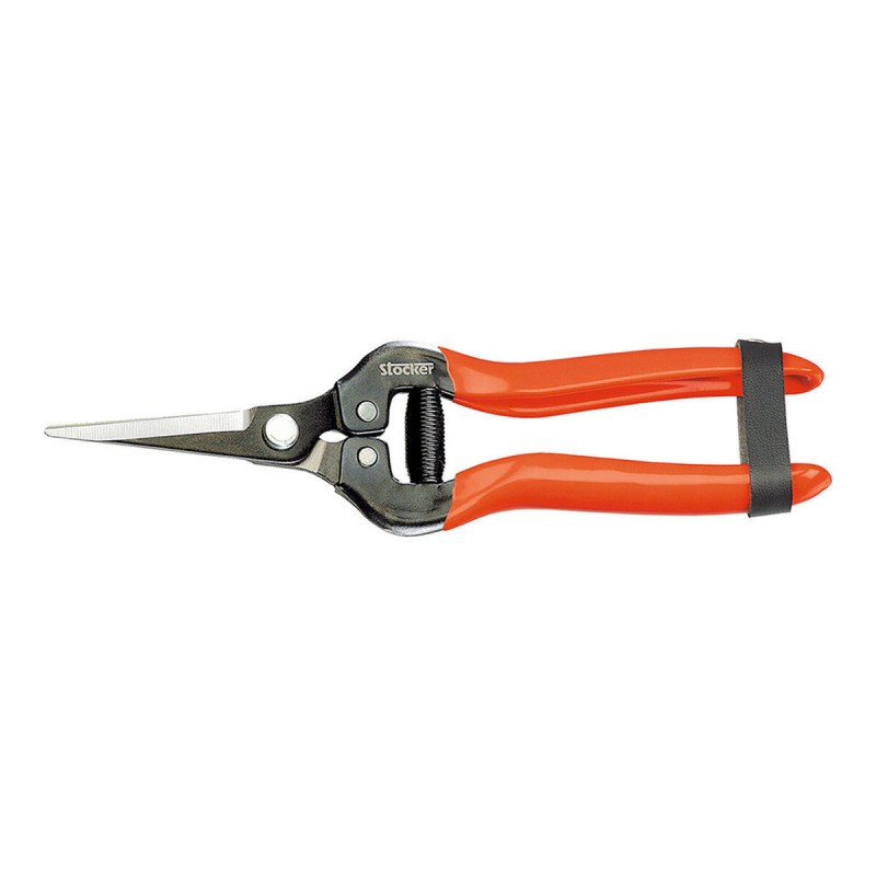 Garden Scissors Stocker Fruit and...