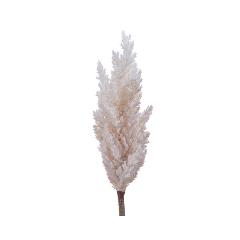 Decorative Plant Everlands Pampas (Ø...