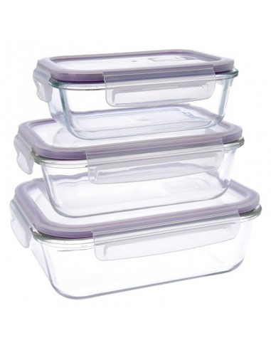 Set of lunch boxes Quid Frost (3 pcs)...