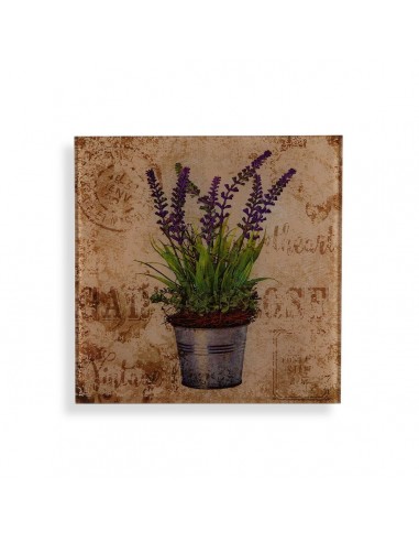 Bild Versa Lavendel Kristall 1 x 30 x...