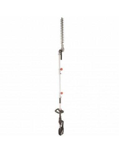 Hedge trimmer Scheppach 5910504901...