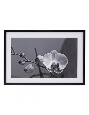 Canvas Orchid 65 x 2 x 95 cm Flower