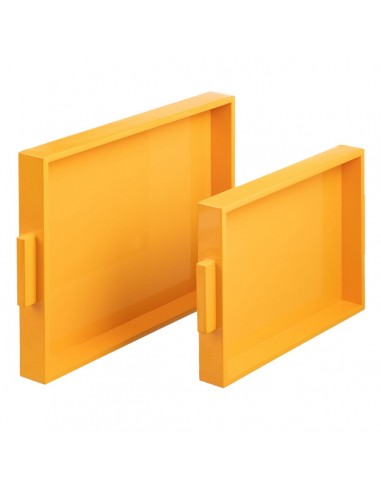 Tray 45 x 33 x 4,5 cm Yellow DMF (2...