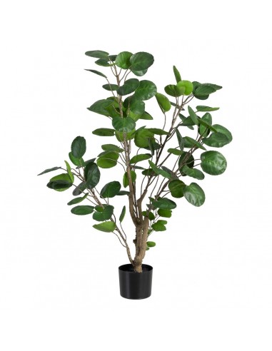 Decorative Plant 80 x 77 x 113 cm...