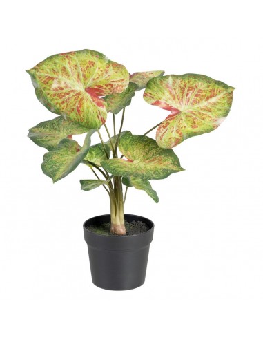 Decoratieve plant 48 x 46 x 55 cm...